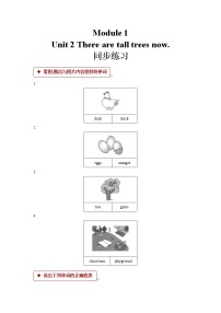 外研版 (一年級起點(diǎn))Unit 2 There are tall trees now.當(dāng)堂達(dá)標(biāo)檢測題