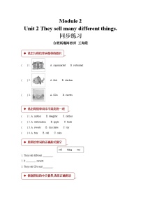 外研版 (一年級起點(diǎn))五年級上冊Module 2Unit 2 They sell different things.課時作業(yè)