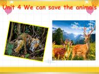 教科版 (广州)六年级下册Unit 4 We can save the animals多媒体教学ppt课件