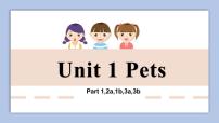 英语三年级下册Unit 1 Pets优质课件ppt