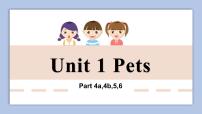 小学英语Unit 1 Pets试讲课课件ppt
