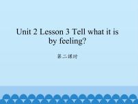 川教版六年级下册Lesson 3 Tell what it is by feeling图文课件ppt