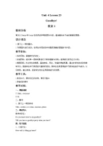 小學(xué)英語(yǔ)冀教版 (一年級(jí)起點(diǎn))六年級(jí)下冊(cè)Lesson 23 Goodbye!教學(xué)設(shè)計(jì)及反思