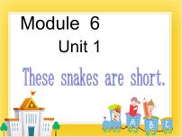 外研版 (一年级起点)一年级下册unit 1 These snakes are short.评课课件ppt