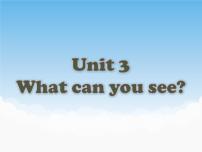 湘少版四年级下册Unit 3 What can you see?评课课件ppt
