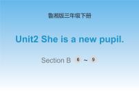 湘鲁版三年级下册Unit 2 She is a new pupil.综合与测试优秀课件ppt