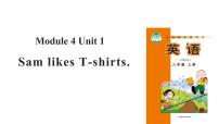 外研版 (一年级起点)二年级上册Unit 1 Sam likes T-shirts.教学ppt课件