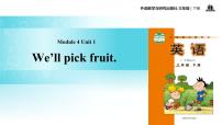 英语三年级下册Unit 1 We'll pick fruit.图片课件ppt