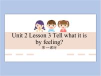 小学英语川教版六年级下册Lesson 3 Tell what it is by feeling完整版ppt课件