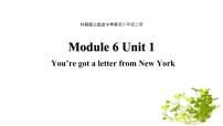 外研版 (三年级起点)六年级上册Unit 1 You’ve got a letter from New York.多媒体教学课件ppt