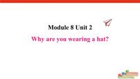 外研版 (三年级起点)六年级下册Module 8Unit 2 Why are you wearing a hat?说课ppt课件