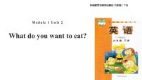 小学英语Module 1Unit 2 What do you want to eat?课堂教学课件ppt
