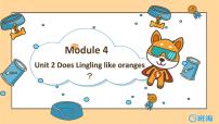 外研版 (三年级起点)三年级下册Unit 2  Does Lingling like oranges?课前预习ppt课件
