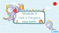 小学英语外研版 (三年级起点)三年级下册Module 9Unit 1 I've got a new book.示范课ppt课件