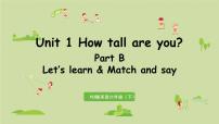 人教版 (PEP)六年级下册Unit 1 How tall are you? Part B课文ppt课件