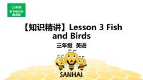 英语三年级【知识精讲】Lesson 3 Fish and Birds课件PPT