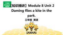 英语三年级【知识精讲】Module 8 Unit 2 Daming flies a kite in the park.课件PPT