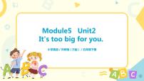 外研版 (三年级起点)五年级下册Module 5Unit 2 It's too big for you.课前预习课件ppt