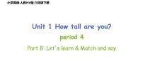 人教PEP版·六年级下册Unit1 How tall are you Part B Let’s learn，Match and say课件PPT