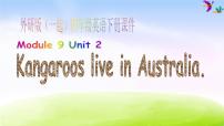 小学英语外研版 (一年级起点)四年级下册Unit 2 Kangaroos live in Australia.图片课件ppt