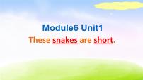外研版 (一年级起点)一年级下册unit 1 These snakes are short.背景图课件ppt
