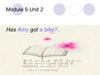 外研版 (三年级起点)三年级下册Unit 2  Has Amy got a bike?多媒体教学ppt课件