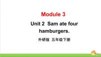 小学英语外研版 (三年级起点)五年级下册Module 3Unit 2 Sam ate four hamburgers.课文内容ppt课件