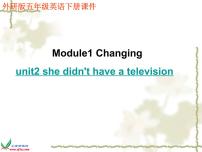 外研版 (三年级起点)五年级下册Module 1Unit 2 She didn't have a television.多媒体教学ppt课件