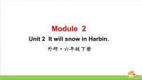 外研版 (三年级起点)六年级下册Unit 2  It will snow in Harbin教学ppt课件