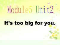 外研版 (三年级起点)五年级下册Module 5Unit 2 It's too big for you.图片ppt课件