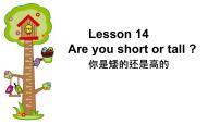 小学英语冀教版 (三年级起点)四年级下册Lesson 14 Are You Short or Tall?教案配套ppt课件