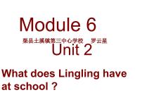 2020-2021学年Unit 2  What does Lingling have at school?课文内容ppt课件