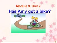 外研版 (三年级起点)三年级下册Unit 2  Has Amy got a bike?教学ppt课件