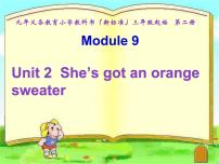 小学英语外研版 (三年级起点)三年级下册Unit 2  She’s got an orange sweater.示范课ppt课件