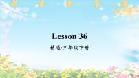 小学英语人教精通版三年级下册Lesson 36 Revision教学演示课件ppt