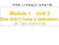 小学英语外研版 (三年级起点)五年级下册Module 1Unit 2 She didn't have a television.课文内容课件ppt