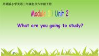 2020-2021学年Module 10Unit 2 What are you going to study?教课ppt课件