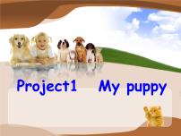 英语三年级下册Project  1  My puppy图文ppt课件