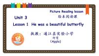 小学英语川教版六年级下册Lesson 1 He was a beautiful butterfly教课内容课件ppt