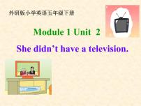 小学外研版 (三年级起点)Unit 2 She didn't have a television.图文ppt课件