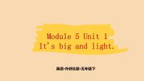 外研版 (三年级起点)五年级下册Module 5Unit 1 It's big and light.课前预习ppt课件