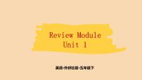 Review Module  Unit1  课件PPT