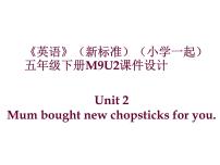 外研版 (一年级起点)五年级下册Unit 2 Mum bought new chopsticks for you.背景图ppt课件