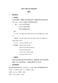 小學(xué)英語湘魯版五年級(jí)上冊Section A教案設(shè)計(jì)