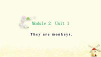 小学外研版 (三年级起点)Unit 1 They are monkeys.背景图课件ppt