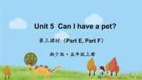 英語(yǔ)湘少版Unit 5 Can I have a pet?教學(xué)演示課件ppt
