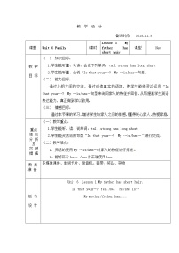 小學(xué)英語魯科版 (五四制)四年級(jí)上冊(cè)Lesson 1 My father has short hair.表格教學(xué)設(shè)計(jì)及反思