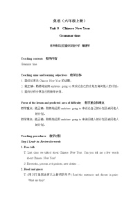 2021學(xué)年Unit 8 Chinese New Year教案