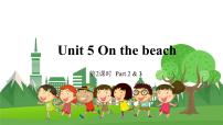 小学英语外研剑桥版五年级下册Unit 5 On the beach授课ppt课件