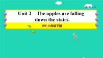外研版 (三年级起点)六年级下册Unit 2 The apples are falling down the stairs作业ppt课件